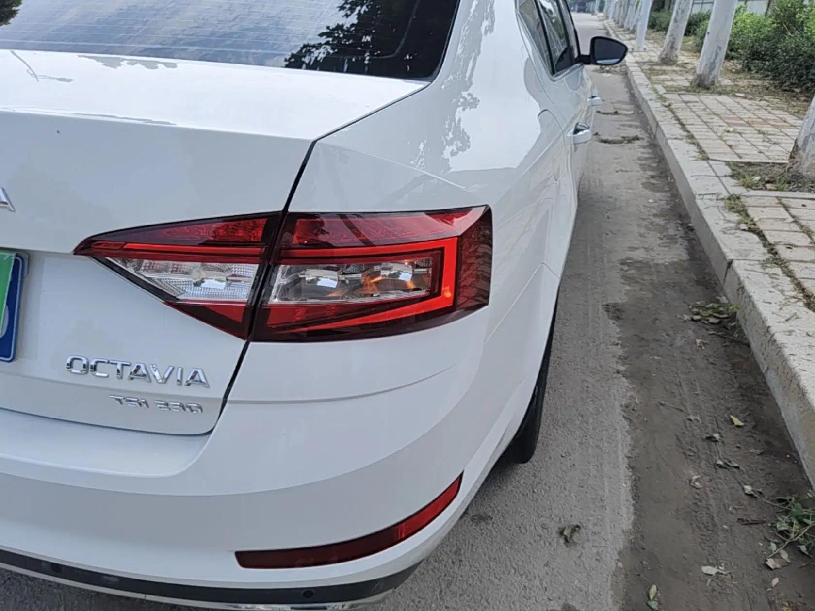 Skoda Octavia 2019 TSI230 DSG SmartDrive Luxury Edition China VI — миниатюра 9