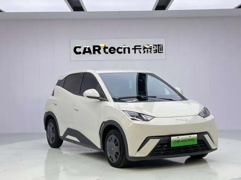 Seagull 2025 305KM Vitality Edition — миниатюра 3