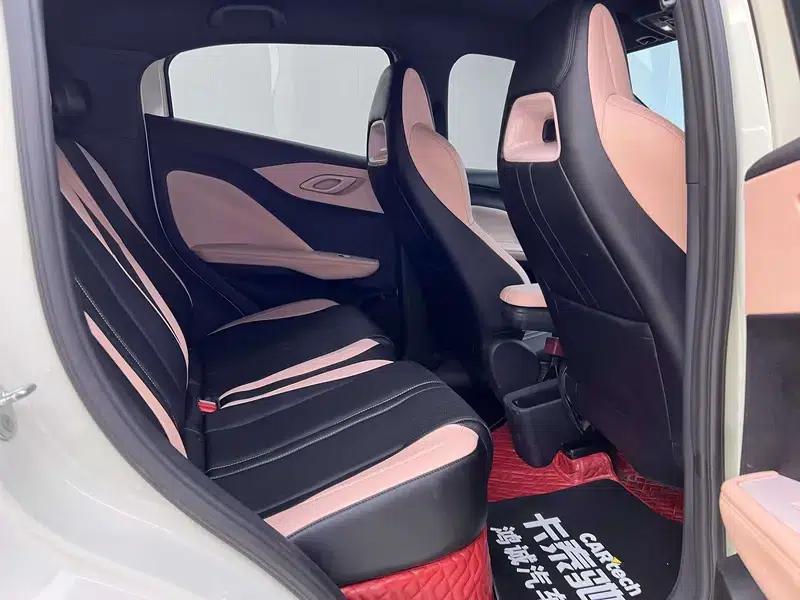 Seagull 2025 305KM Vitality Edition — миниатюра 22