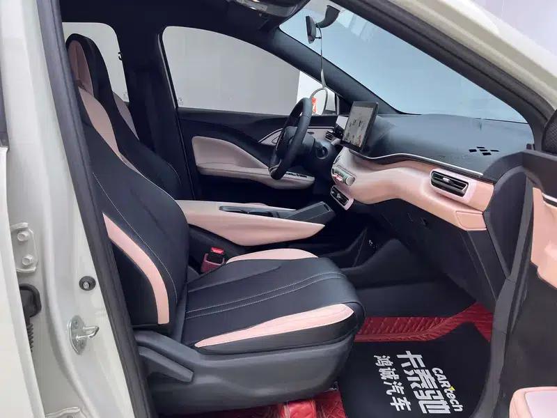Seagull 2025 305KM Vitality Edition — миниатюра 23