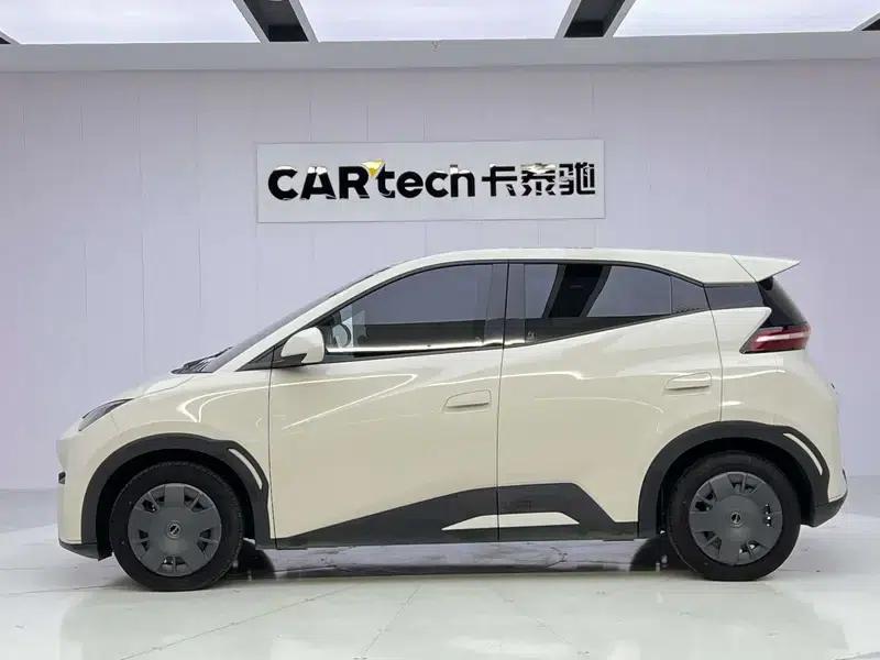 Seagull 2025 305KM Vitality Edition — миниатюра 4