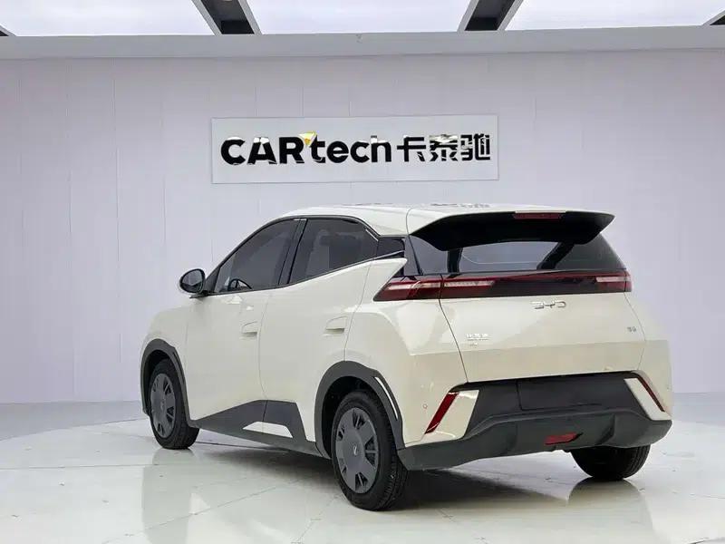 Seagull 2025 305KM Vitality Edition — миниатюра 5