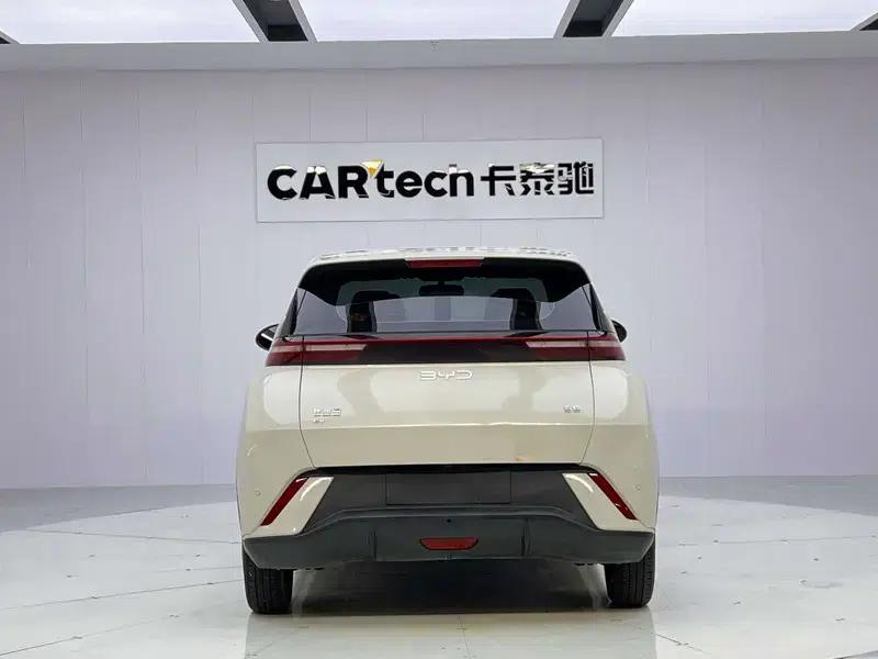 Seagull 2025 305KM Vitality Edition — миниатюра 6