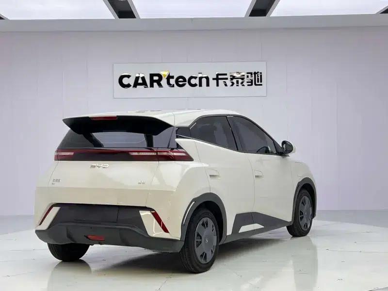 Seagull 2025 305KM Vitality Edition — миниатюра 7