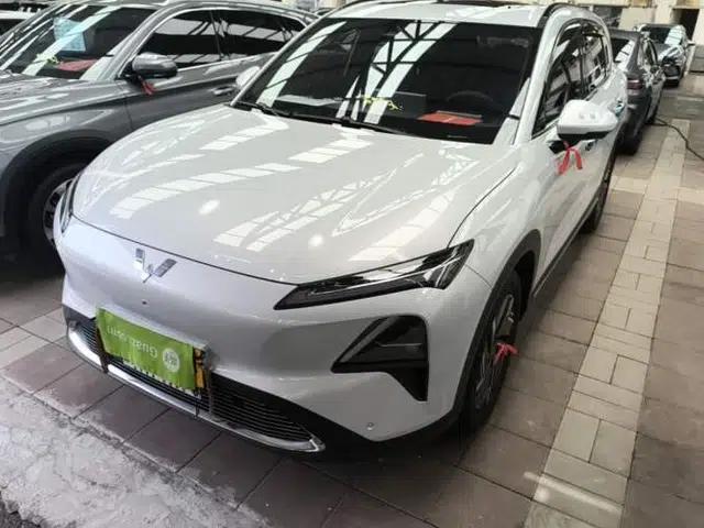 Wuling Xingguang S 2024 130 km Flagship Version