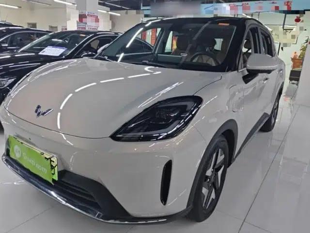 Wuling Bingo S 2025 Model 430km Flagship Edition