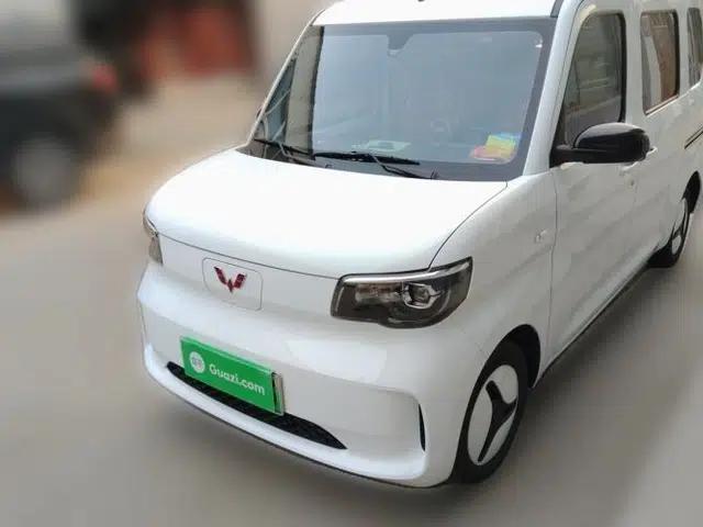 Wuling Zhiguang New Energy 2025 Standard Model