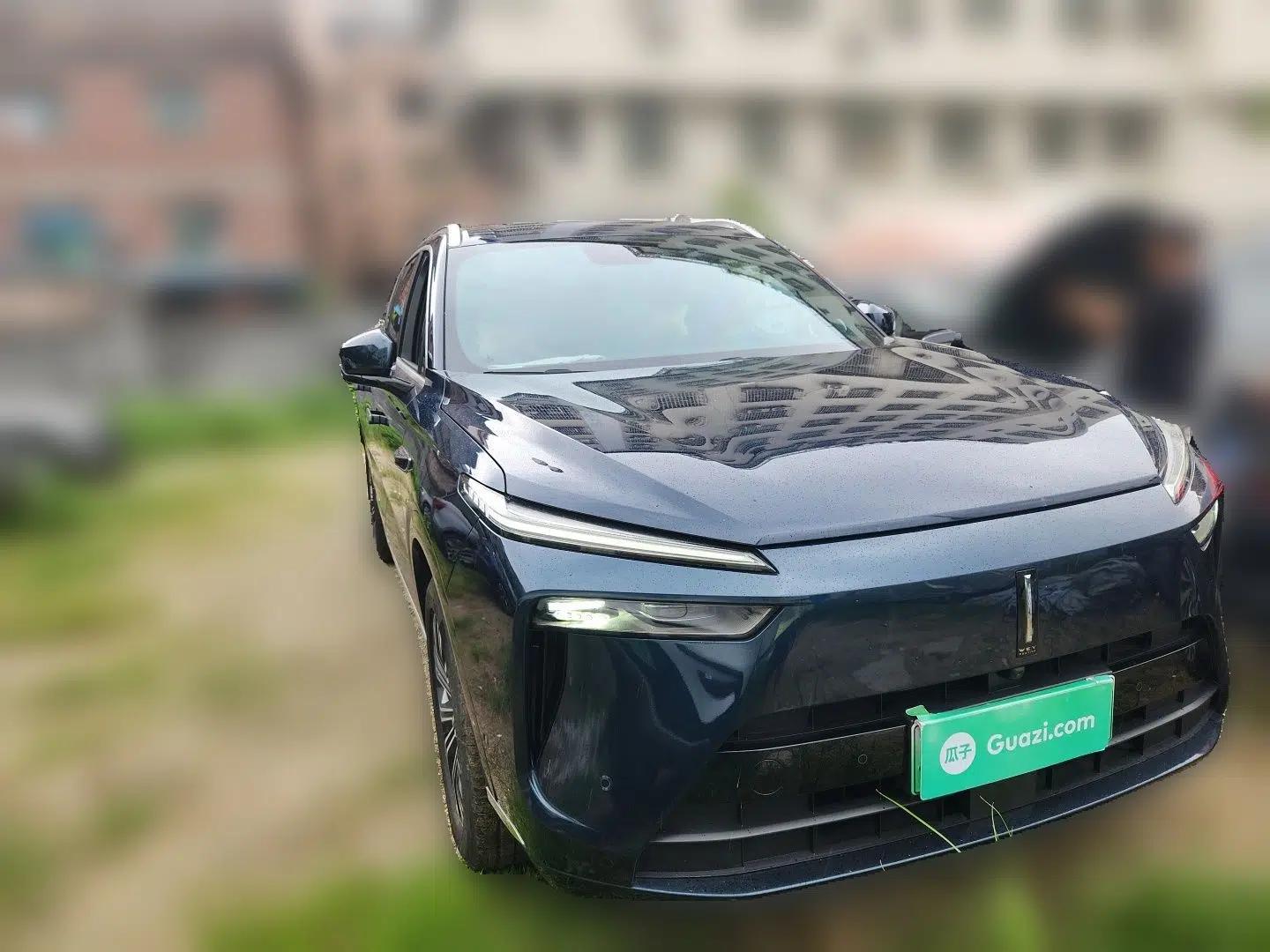 Wey Lanshan 2023 Four-Wheel Drive Ultra-Long Range Version — миниатюра 3