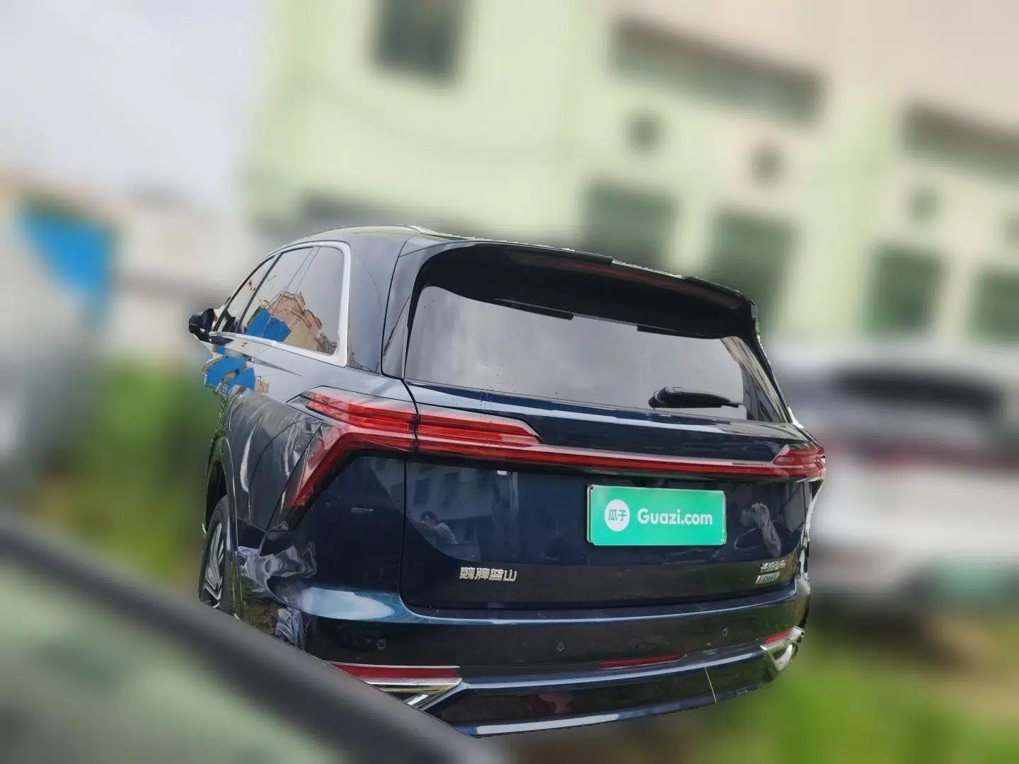 Wey Lanshan 2023 Four-Wheel Drive Ultra-Long Range Version — миниатюра 4