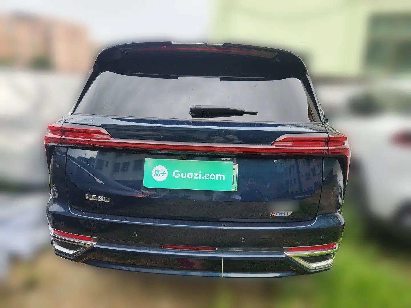 Wey Lanshan 2023 Four-Wheel Drive Ultra-Long Range Version — миниатюра 5