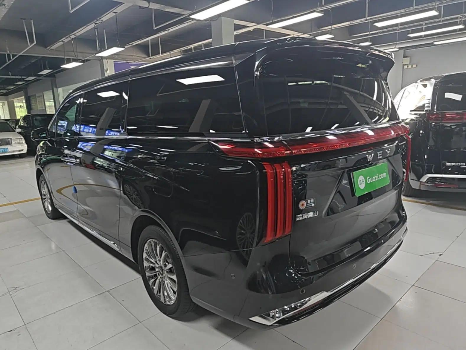 Wey Gaoshan 2023 Four-Wheel-Drive Executive Extended Version — миниатюра 13