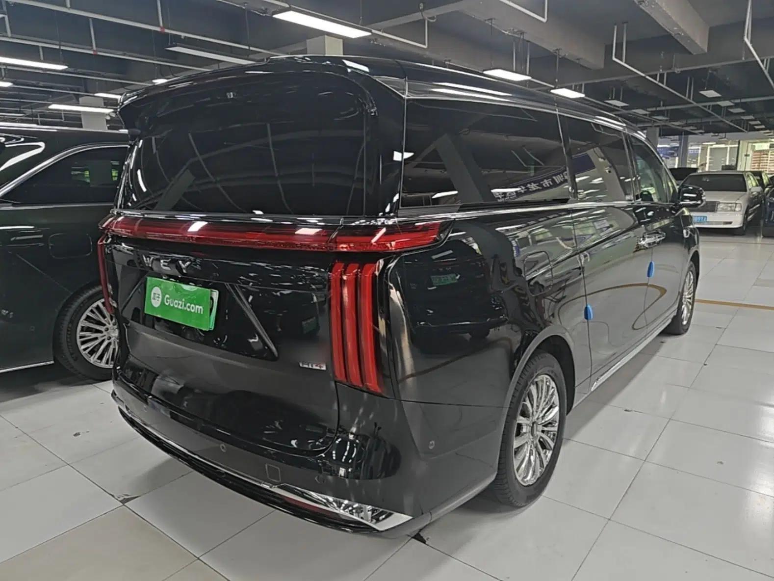 Wey Gaoshan 2023 Four-Wheel-Drive Executive Extended Version — миниатюра 6