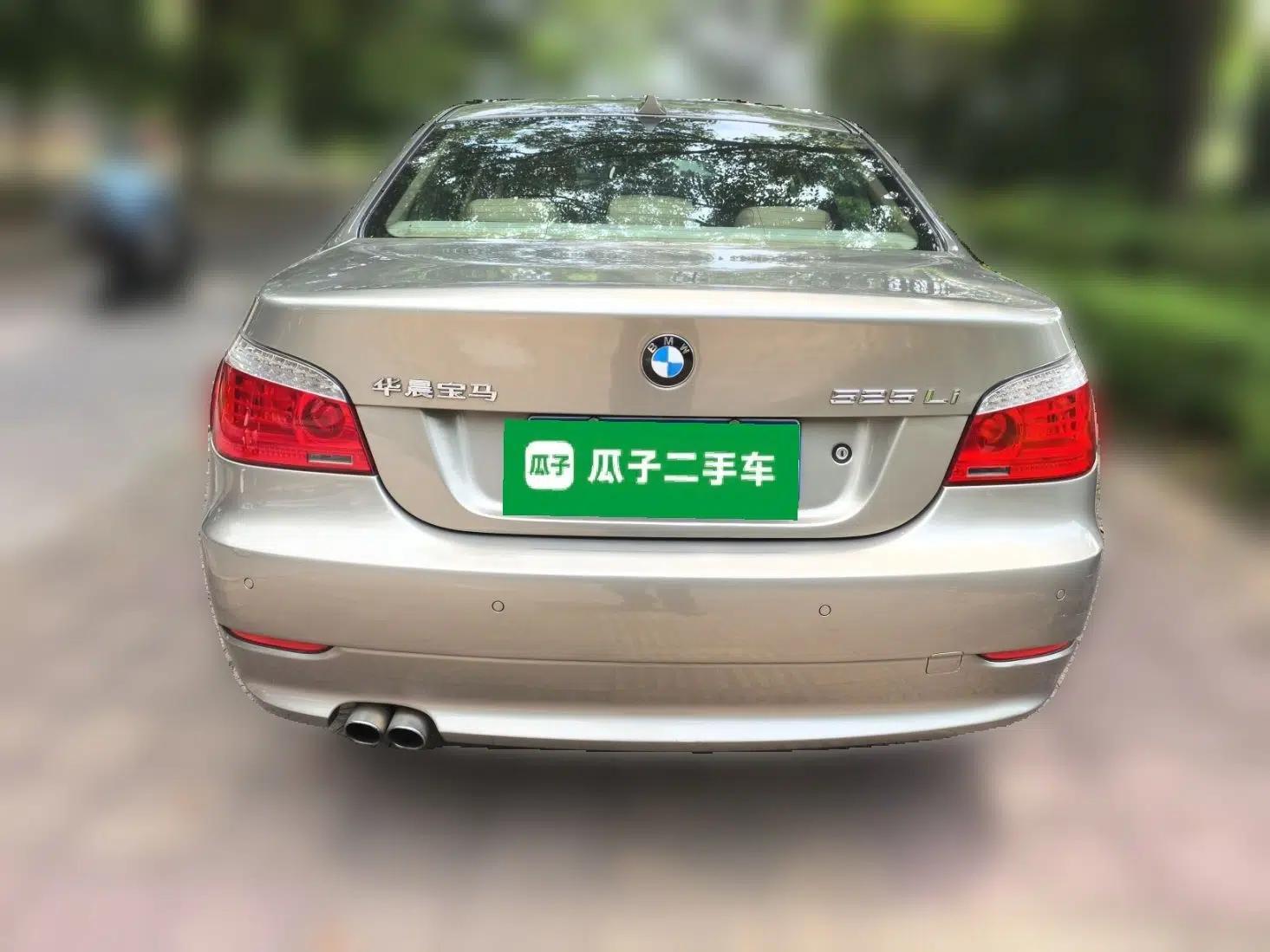 BMW 5 Series 2008 525Li Luxury Model — миниатюра 5