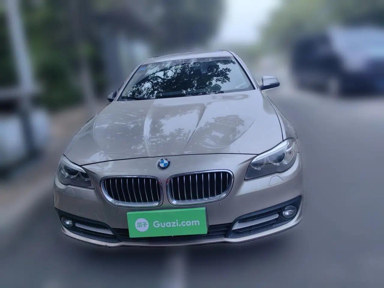 BMW 5 Series 2014 520Li Elegant Model — миниатюра 2