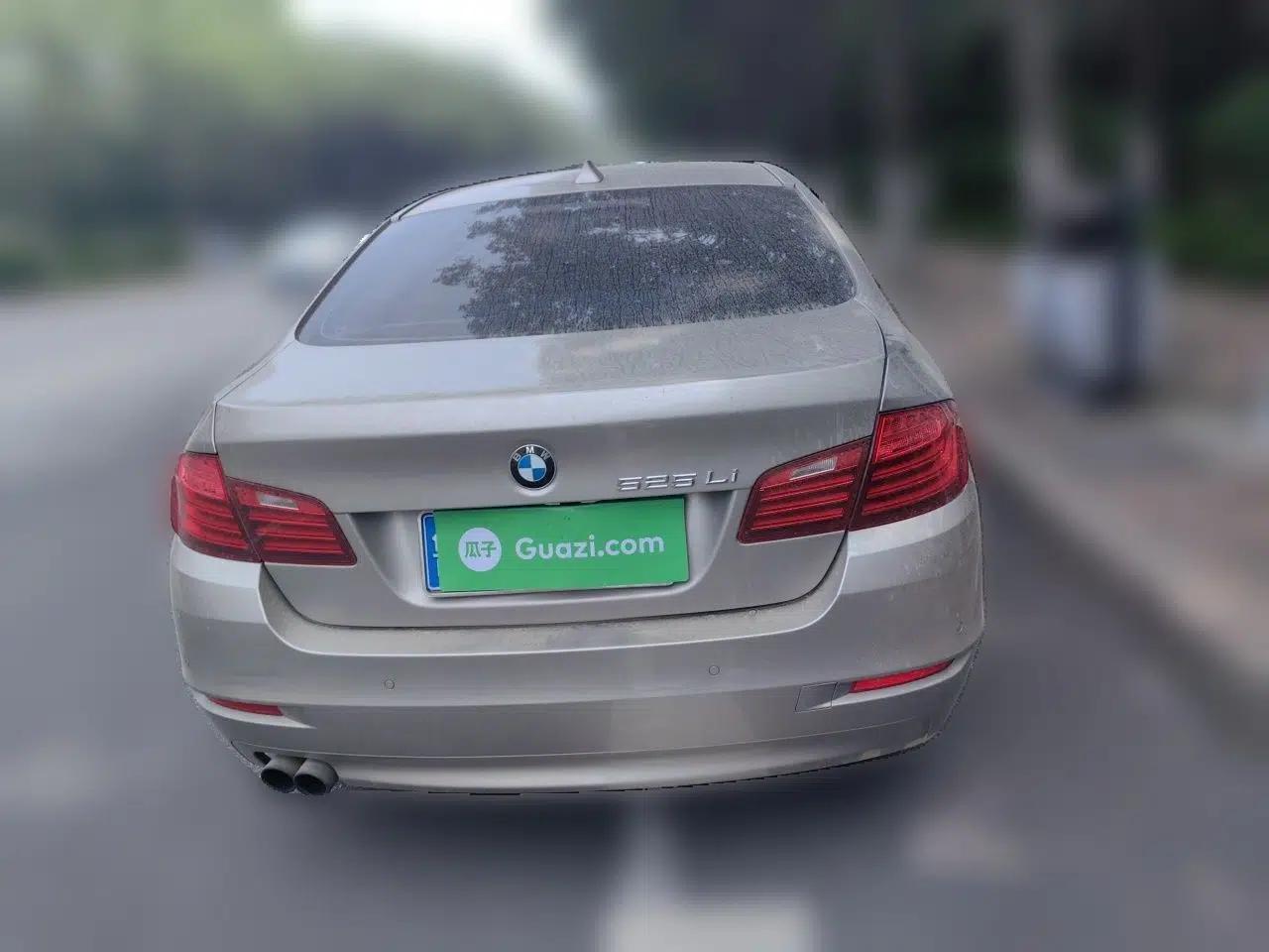 BMW 5 Series 2014 520Li Elegant Model — миниатюра 5