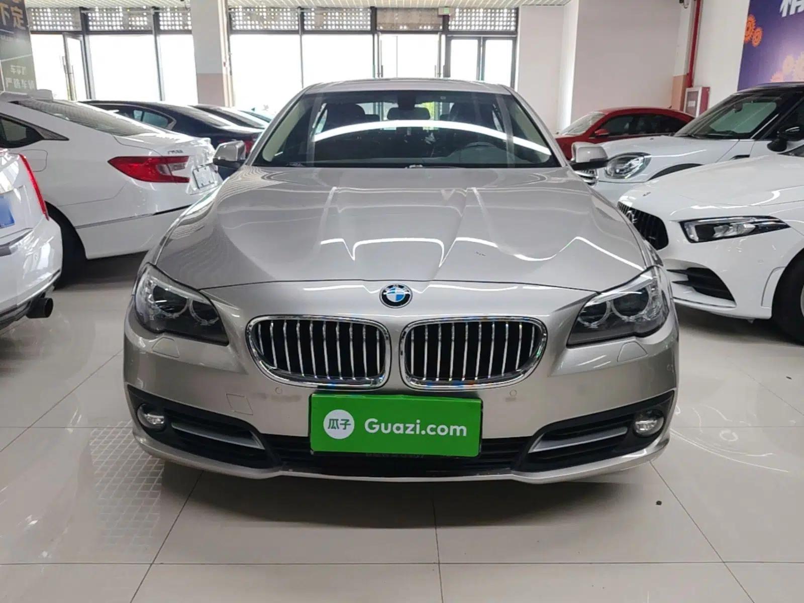 BMW 5 Series 2014 520Li Elegant Model — миниатюра 2