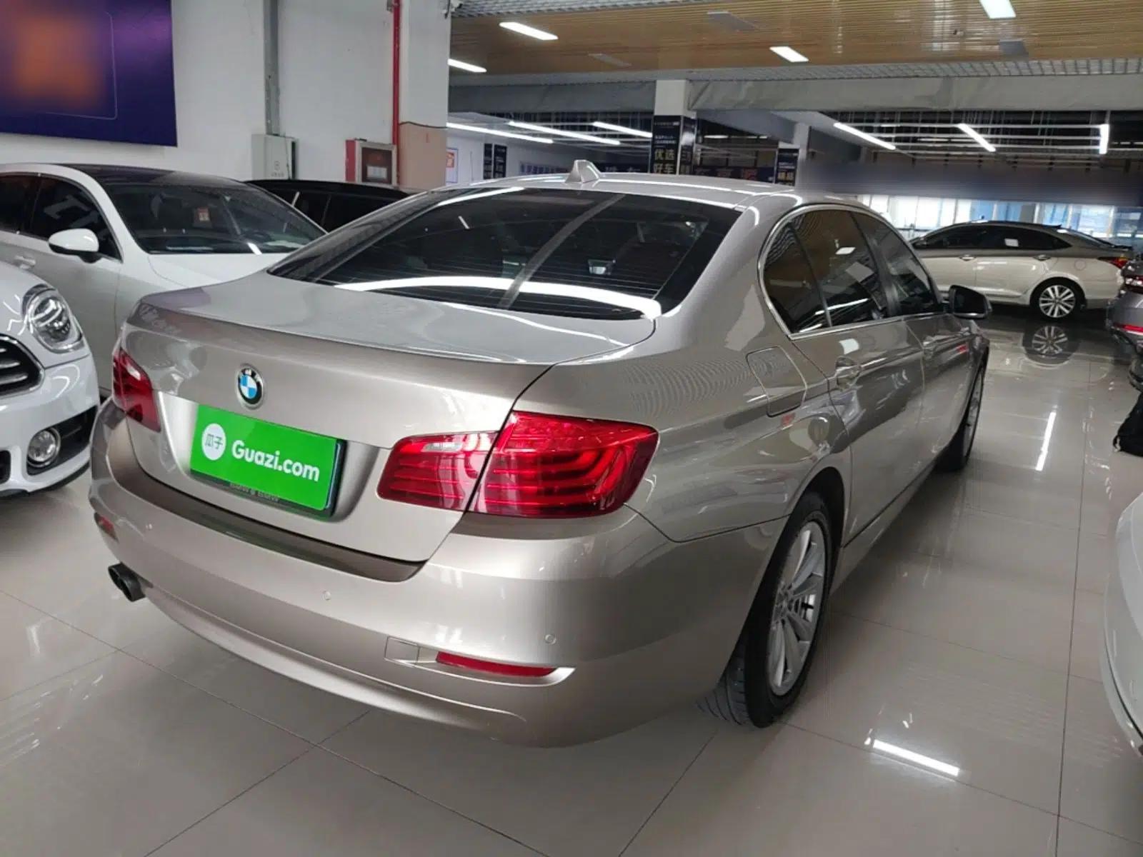 BMW 5 Series 2014 520Li Elegant Model — миниатюра 6