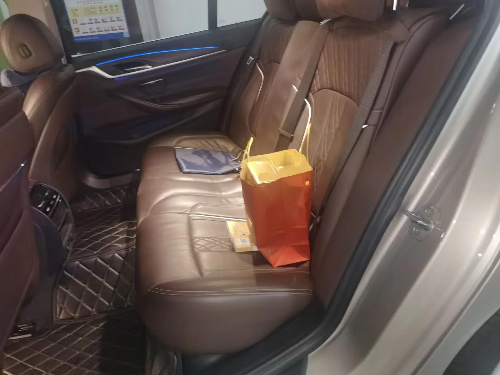 BMW 5 Series New Energy 2019 Updated Version 530Le Luxury Package — миниатюра 17