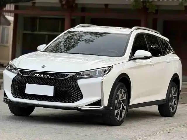 Aeolus Aeolus GS 2020 230T Automatic Premium Edition