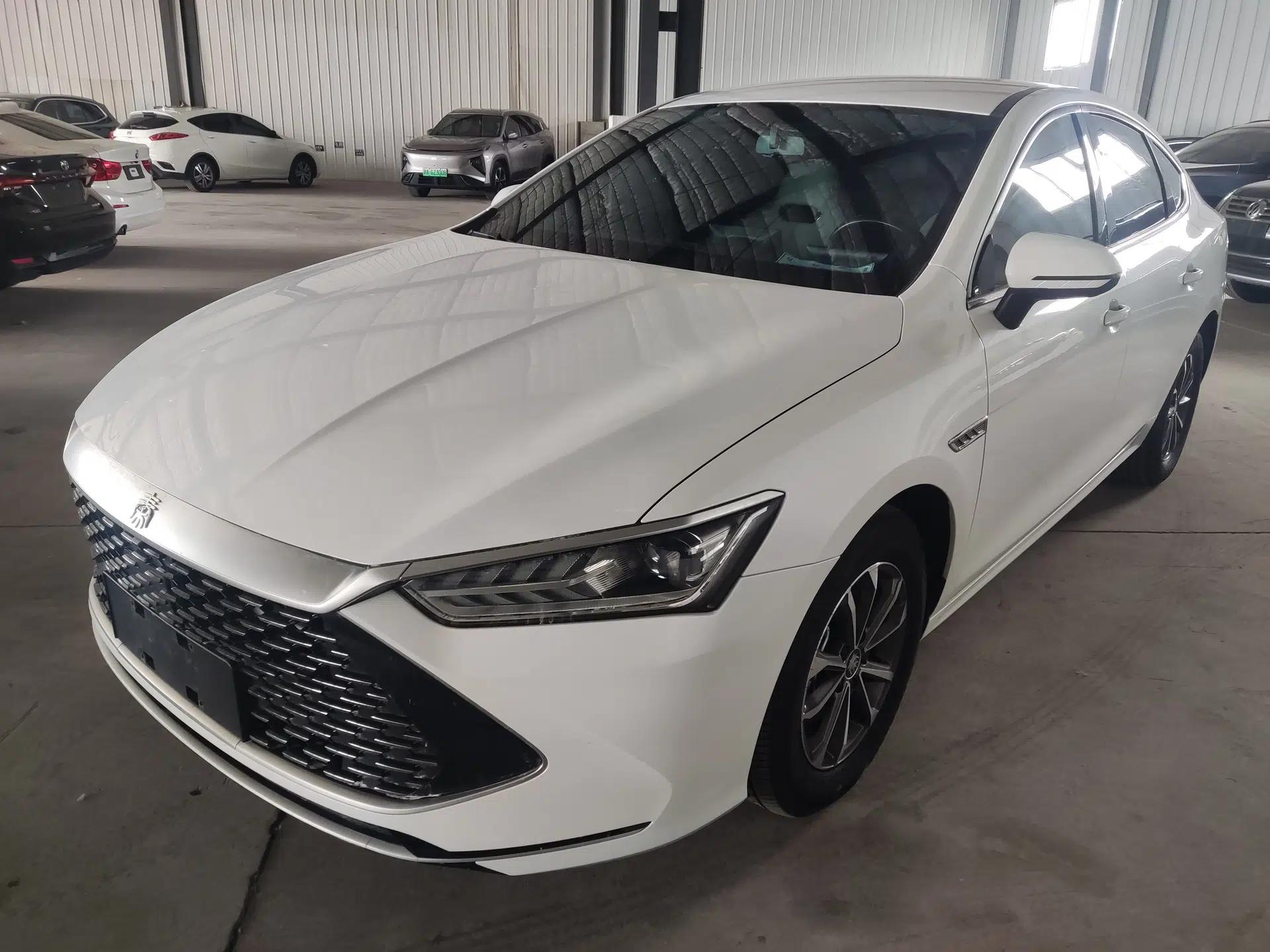 BYD Qin PLUS 2023 Champion Edition DM-i 55KM Leading Model — миниатюра 1