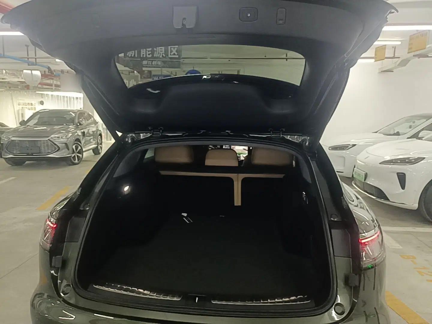 Hima Stelato S9T 2025 Model Pure Electric Rear-Drive Max — миниатюра 22