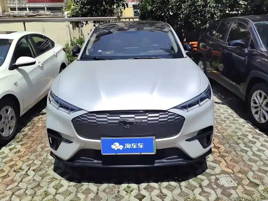 Ford e31 2021 Model X Unlimited Rear-Wheel Drive Luxury Edition Long Range — миниатюра 2