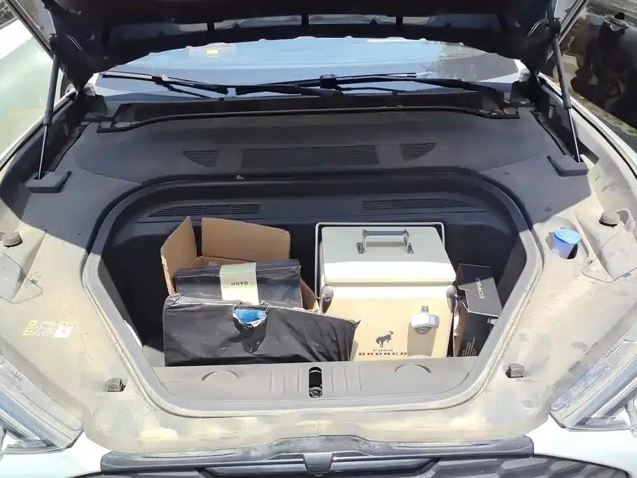 Ford e31 2021 Model X Unlimited Rear-Wheel Drive Luxury Edition Long Range — миниатюра 10