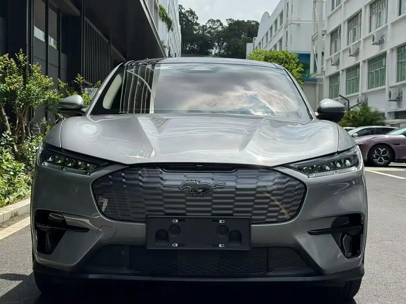 Ford Electric 2021 Model X Rear-Wheel Drive Standard Range — миниатюра 2