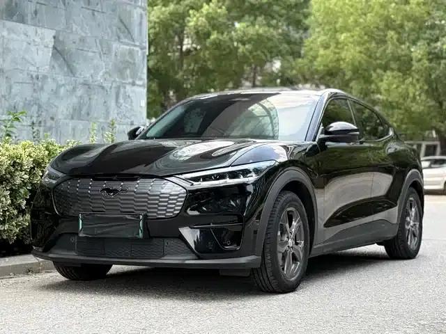 Ford Electric 2021 Model X Rear-Wheel Drive Standard Range
