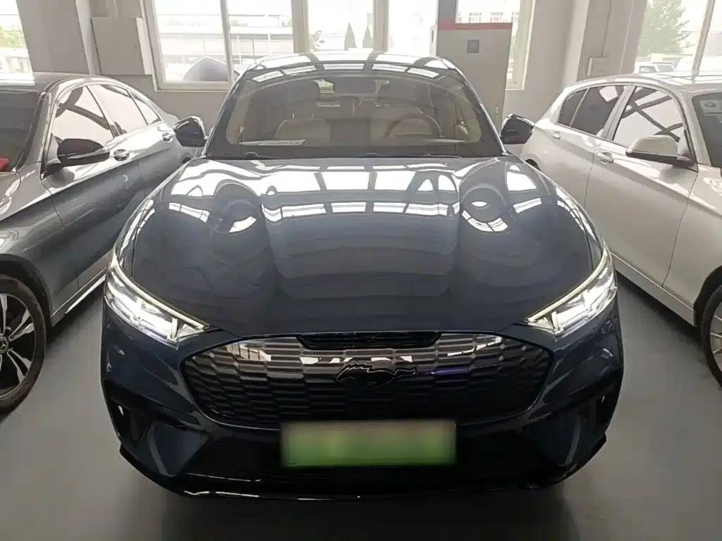 Ford e31 2021 Model X Unlimited Rear-Wheel Drive Luxury Edition Long Range — миниатюра 3