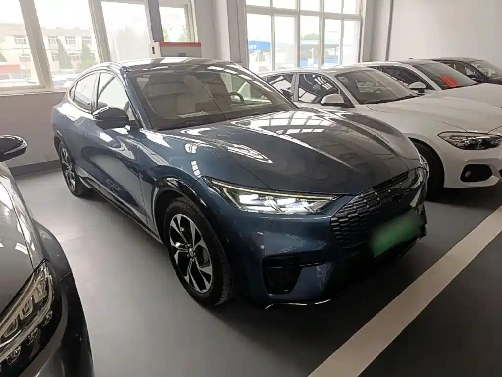 Ford e31 2021 Model X Unlimited Rear-Wheel Drive Luxury Edition Long Range — миниатюра 4