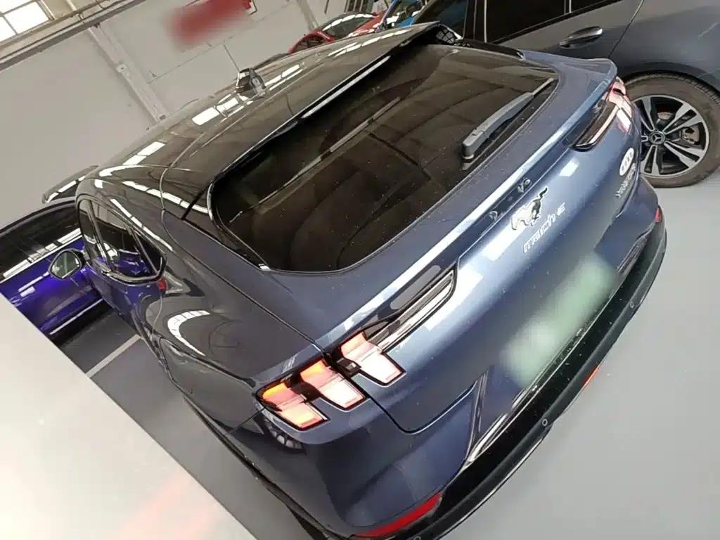 Ford e31 2021 Model X Unlimited Rear-Wheel Drive Luxury Edition Long Range — миниатюра 5