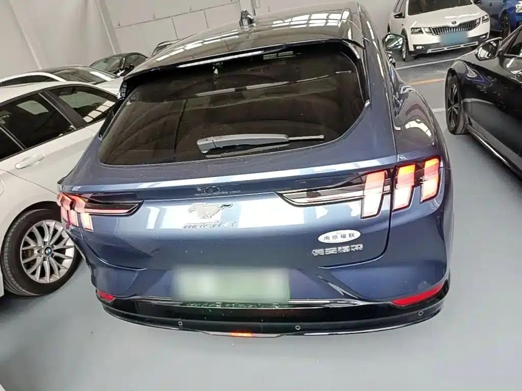 Ford e31 2021 Model X Unlimited Rear-Wheel Drive Luxury Edition Long Range — миниатюра 6