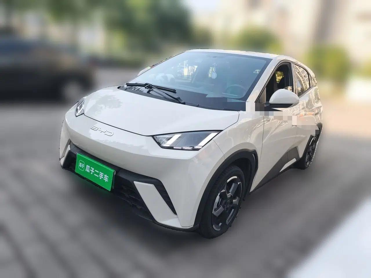 BYD Seagull 2023 Flying Edition — миниатюра 1