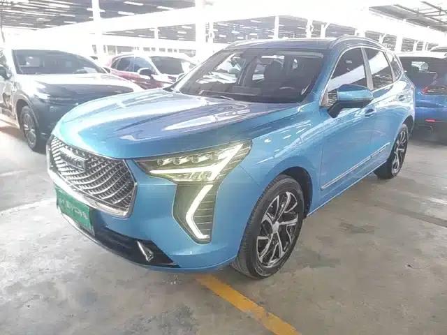 Haval First Love 2021 1.5T Automatic Large Edition