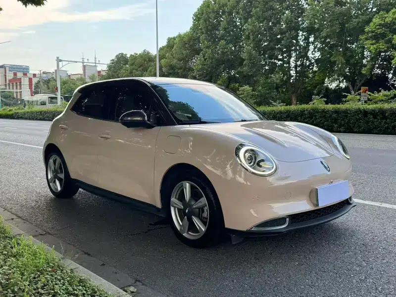 ORA Good Cat 2022 Model, 400km Standard Range, Premium Edition, Lithium Iron Phosphate — миниатюра 3