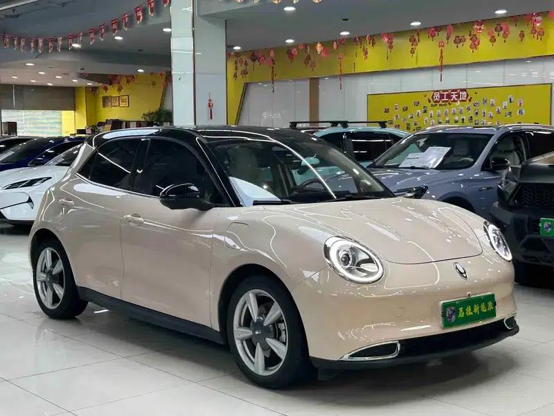 ORA Good Cat 2021 Model, 400km Standard Range, Athena Edition, Ternary Lithium Battery — миниатюра 3