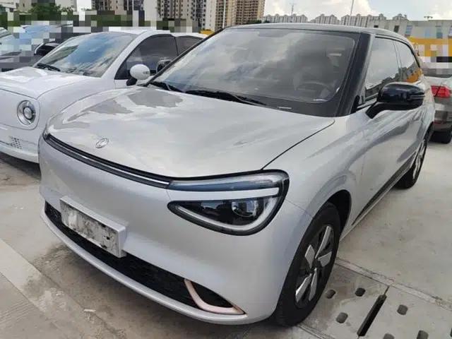 Dongfeng NAMMI 01 2024 New Edition 330 Air