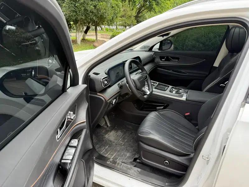 Chery Tiggo 9 2023 2.0T DCT 2WD Luxury Edition 5-seater — миниатюра 19