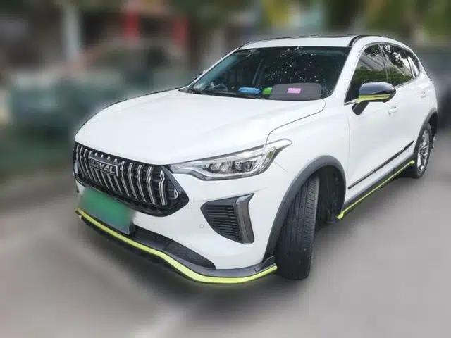 Haval LHERY 2022 Jingxiang Edition 1.5T Copper Rabbit