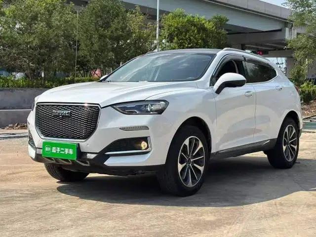 Haval F5 2019 National Trend Edition 1.5T i-Van China VI Standard