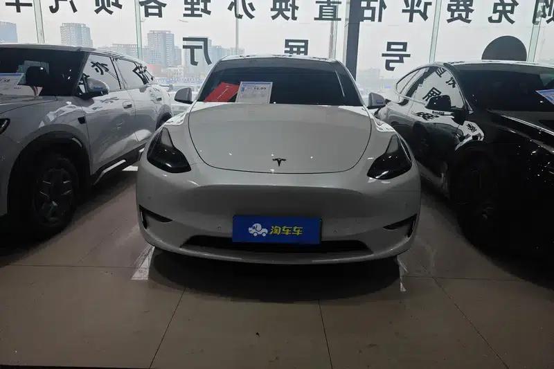 Model Y 2021 Long Range All-Wheel Drive 3D3/3D7 — миниатюра 2