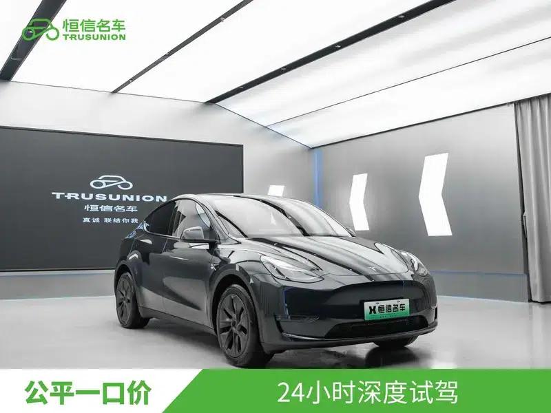 Model Y 2024 Long Range All-Wheel Drive — миниатюра 3