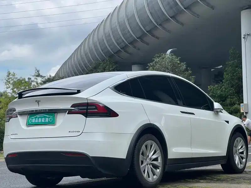 Model X 2017 100D Long Range — миниатюра 6