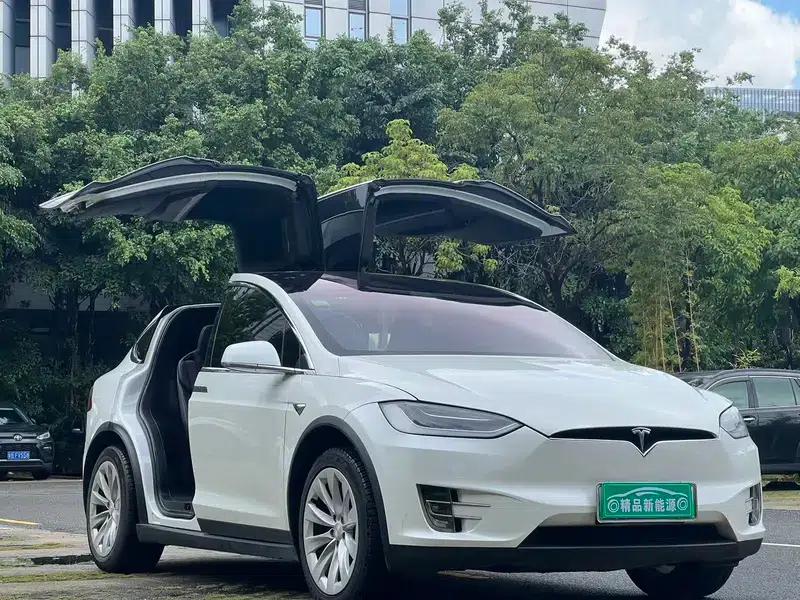Model X 2017 100D Long Range — миниатюра 7