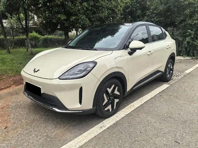 Bingo S 2025 Flagship Model 430km