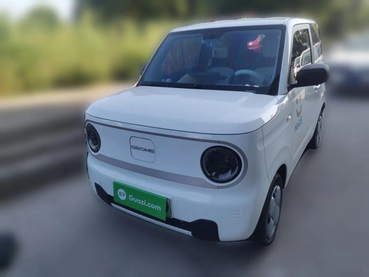 Geely Galaxy Panda 2023 Panda Mini 200km Endurance Bear — миниатюра 1