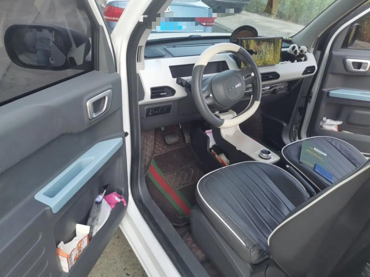 Geely Galaxy Panda 2023 Panda Mini 200km Endurance Bear — миниатюра 13