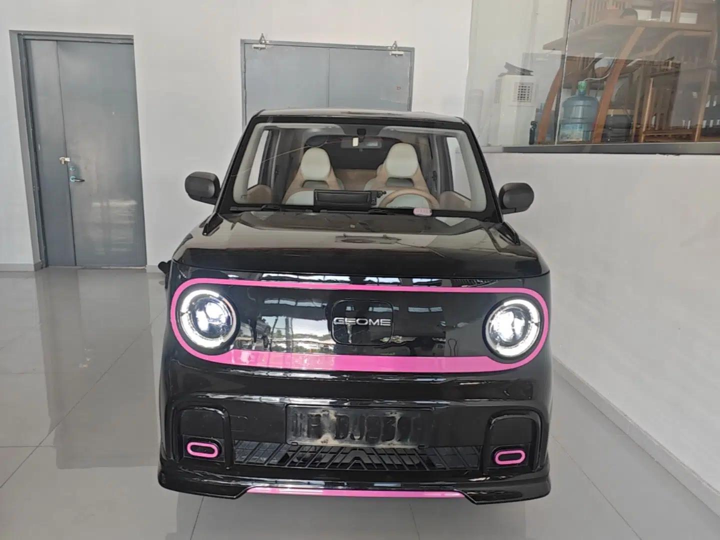 Geely Galaxy Panda 2024 200km Panda Kart — миниатюра 2