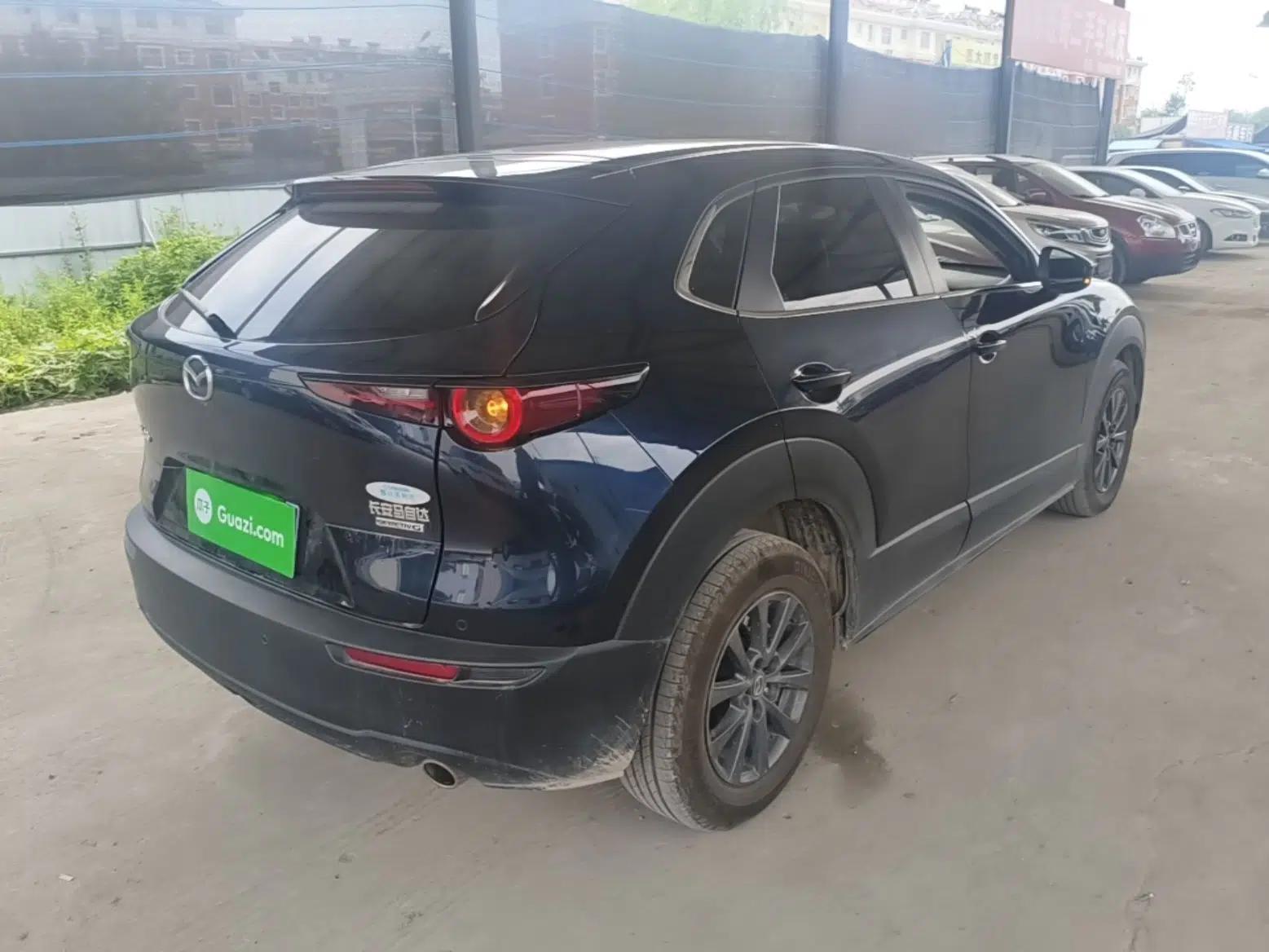 Mazda CX-30 2020 2.0L Automatic Zhiyue Trim — миниатюра 6